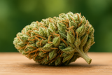 THCA vs THC: What You Need to Know in 2025 THCA