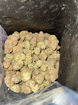 Close-up view of Black Gas Truffle cannabis buds, showcasing deep colors and dense structure. Buy THCA flower online.