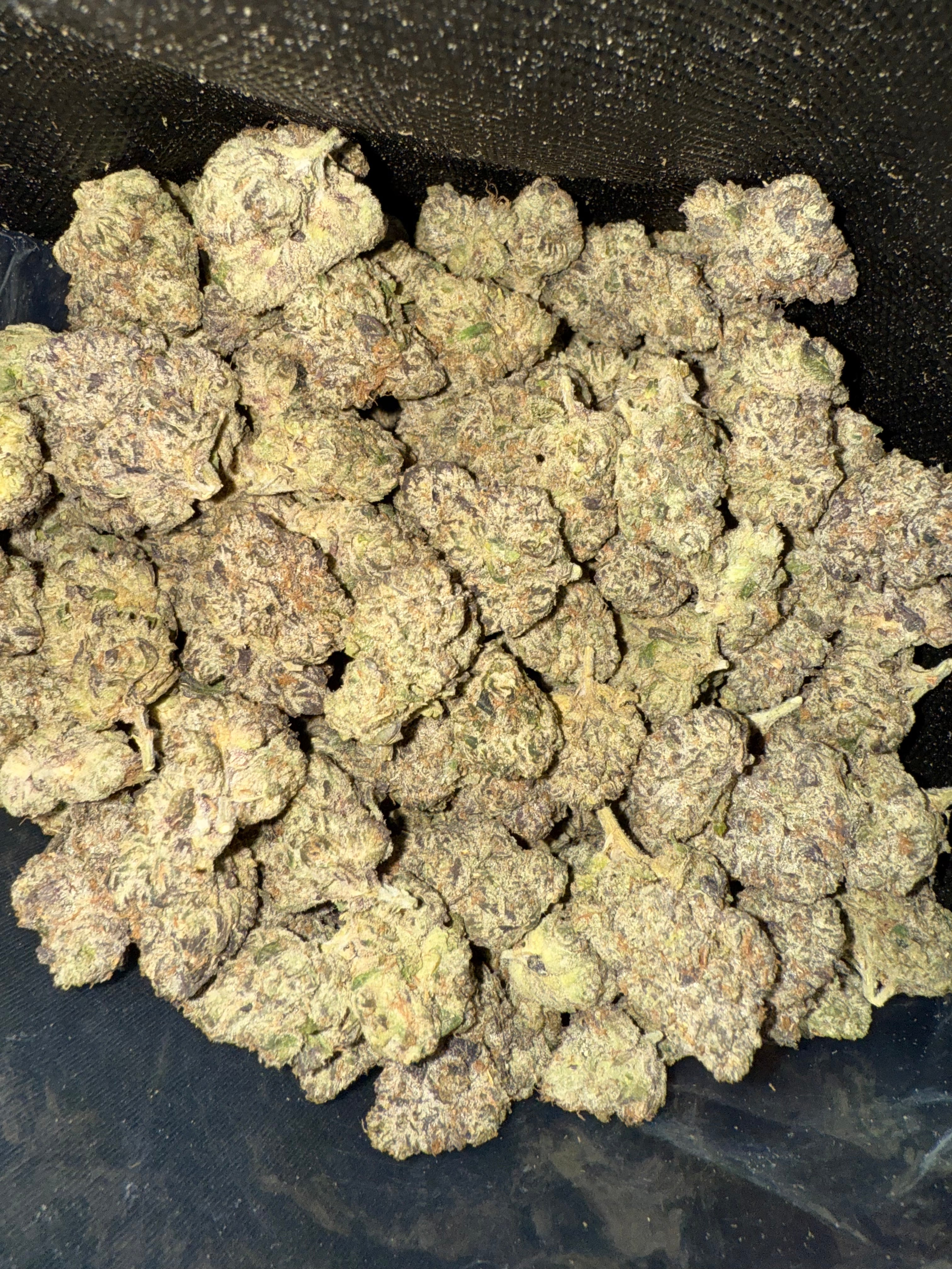 Biscotti Gelato