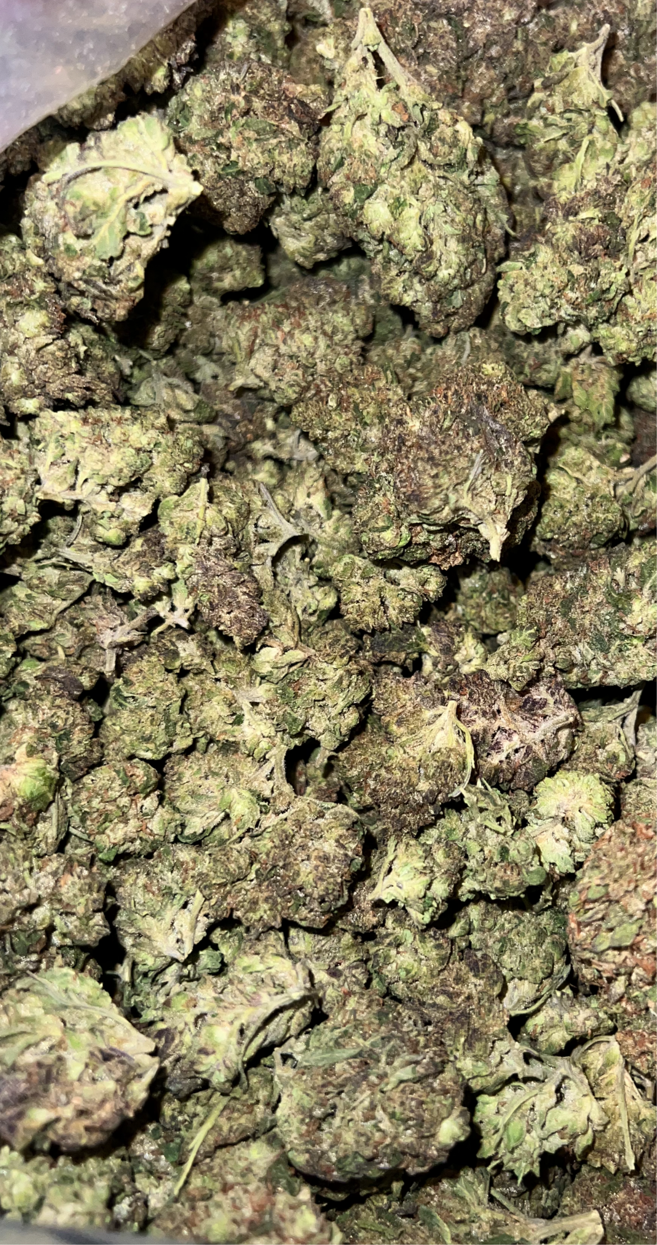 Affordable Biscotti Thca Flower