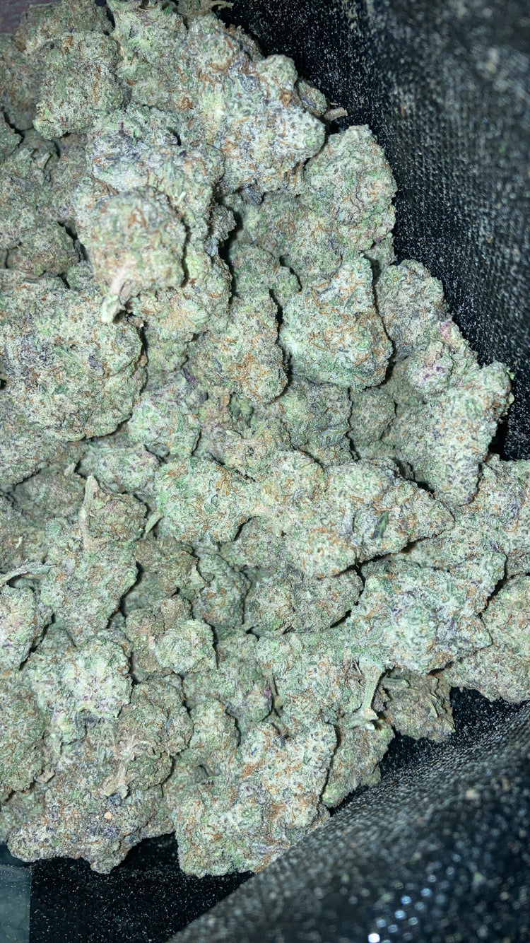 Cream Cheese THCA Flower (Indica)
