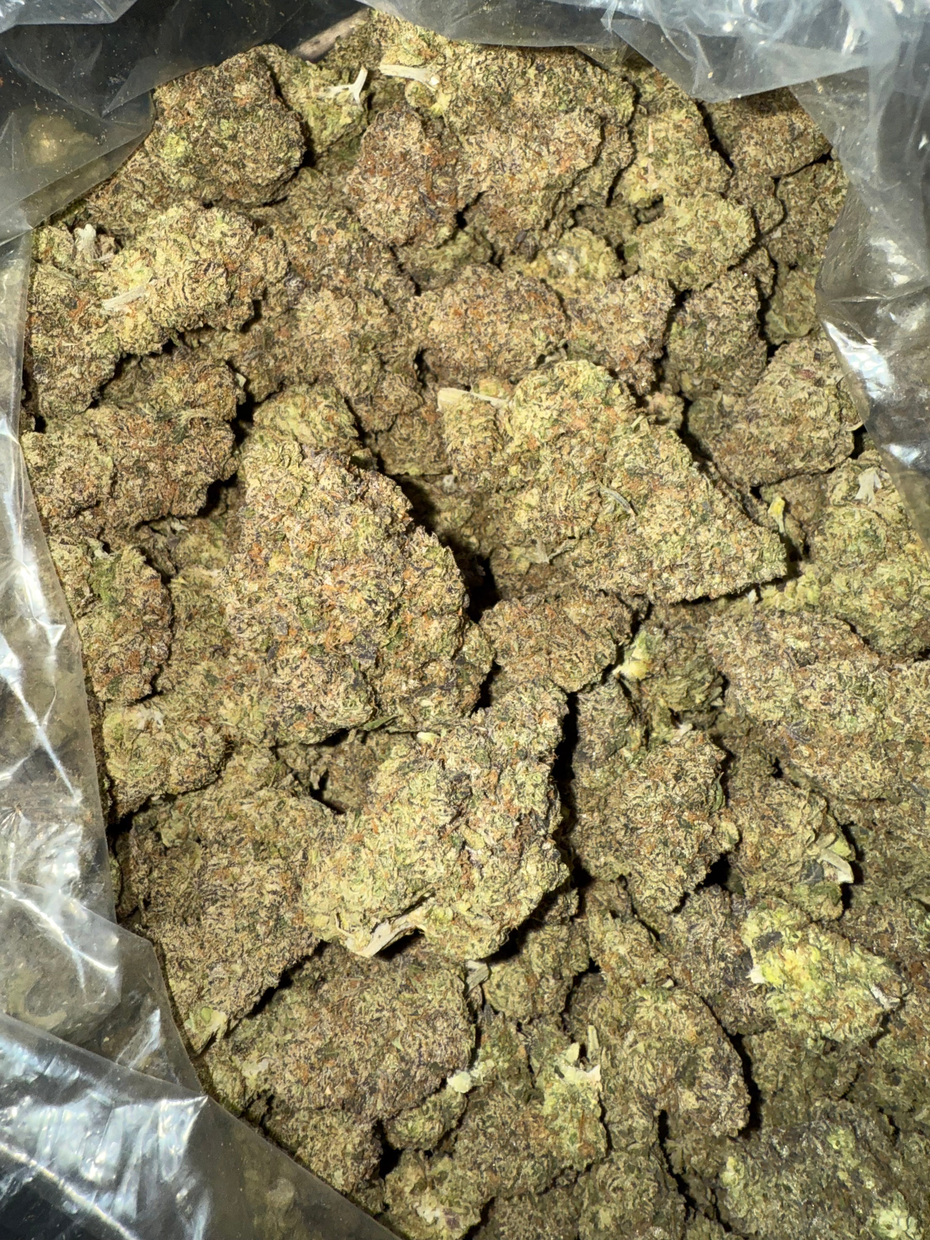 Frozen Runtz Thca Flower (Hybrid)