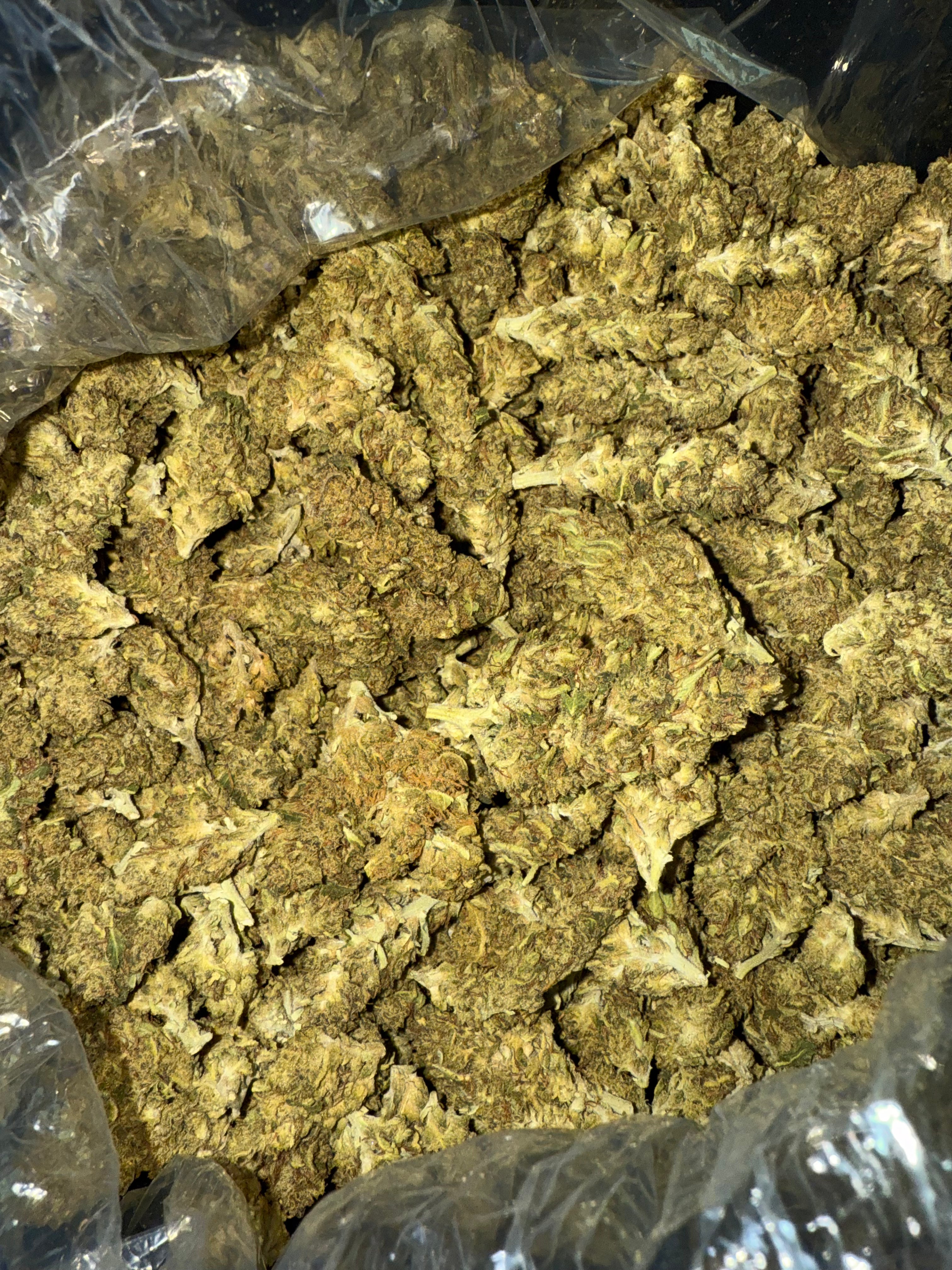 Affordable Animal Cookies Thca Flower