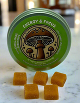 Shroom House Energy and Focus Gummies